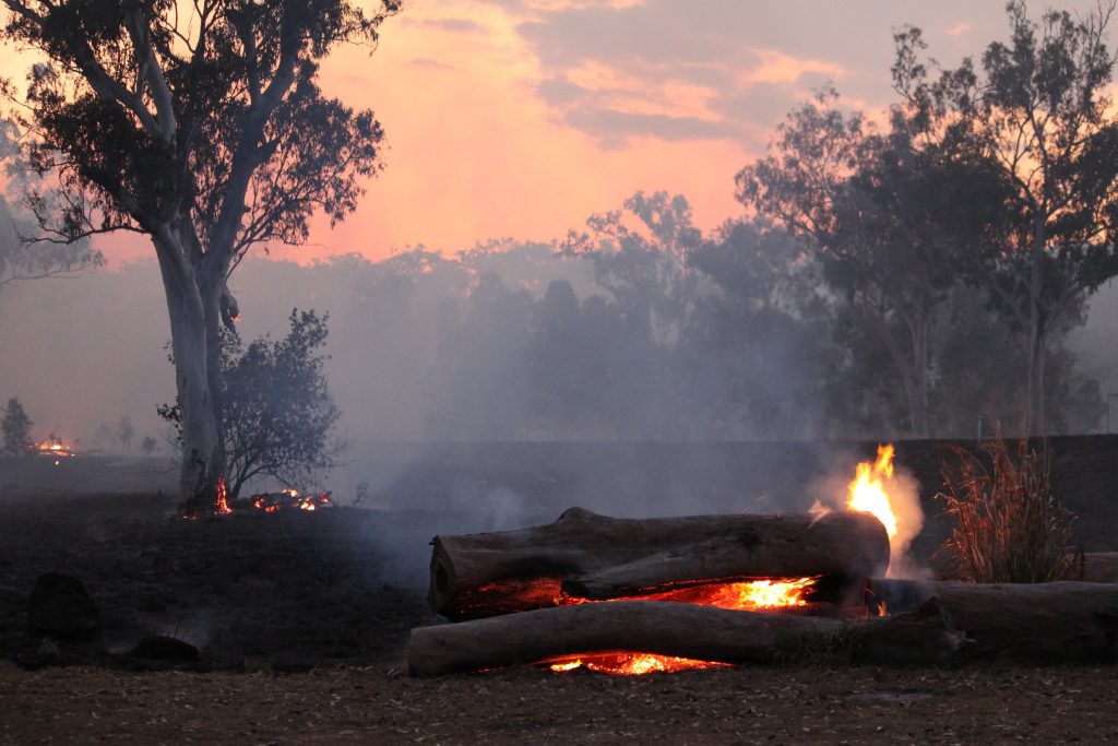 Maastopalo, jossa puiden latvat eivät syttyneet. Kuva vuodelta 2012, Queensland, Australia. Kuvaaja Sofia Airola.